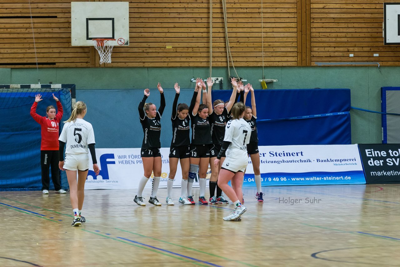 Bild 133 - C-Juniorinnen SVHU - HSD Wagrien : Ergebnis: 30:15
